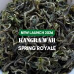 Darjeeling  Kangra