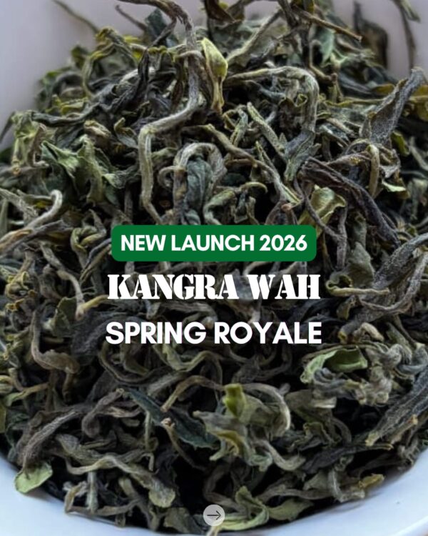 Darjeeling Kangra