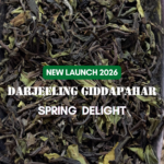 Darjeeling Giddapahar Spring Delight