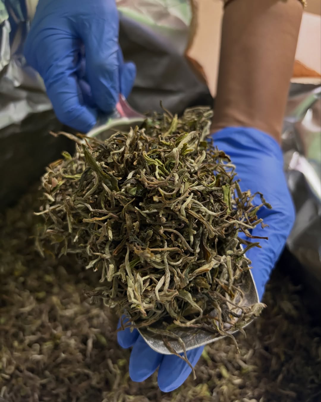 Darjeeling Okayti Spring Moonlight