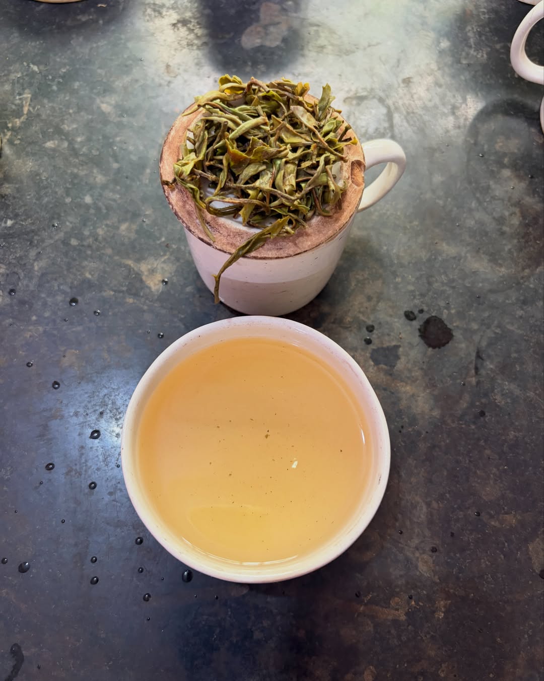 Darjeeling Okayti Spring Moonlight